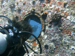 Menna looking through a portside porthole on the AnnAnn W... by Mish Bayoumi 